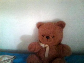 Oso Titulo De Gimnasio