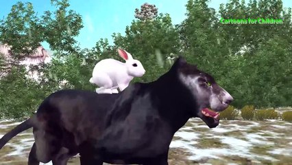 Animals Fighting To Death | Black Panther Vs Tiger Epic Battle | Nursery Rhymes For Children