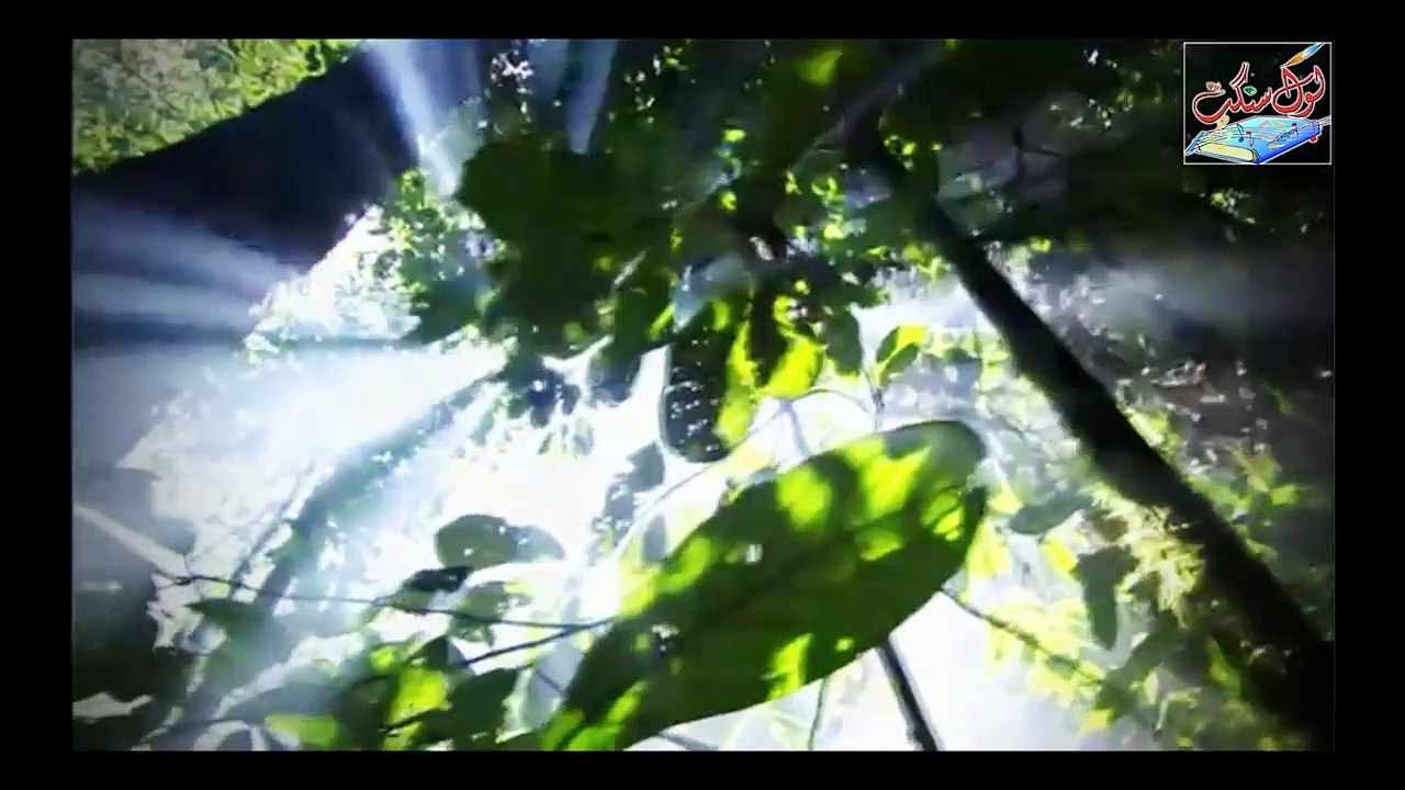 Koee Gal Naee - AZHAR AWAN AZHAR