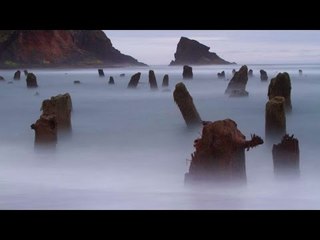 Khu RỪNG MA 2.000 năm tuổi lúc ẩn lúc hiện thu hút sự hiếu kì