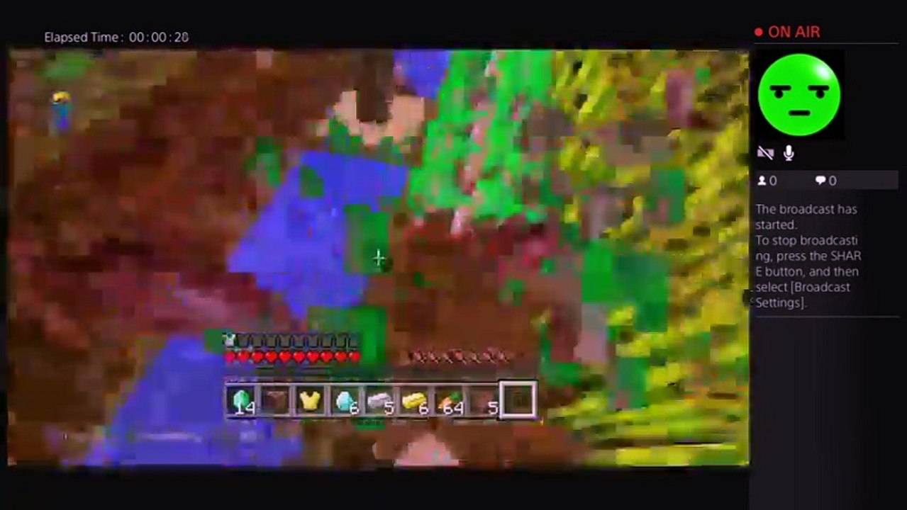 GW2 gameplay2 (9)
