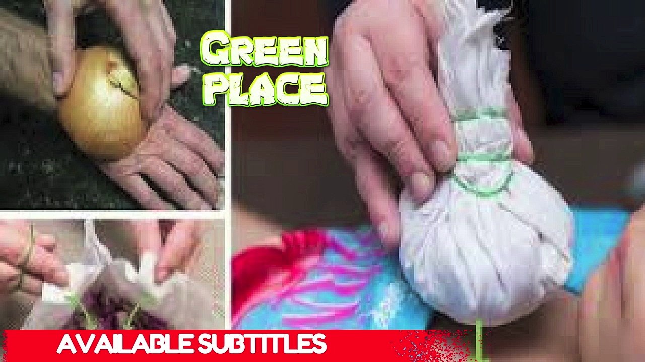 NO ONE EVER TOLD YOU ONIONS COULD DO THESE MIRACULOUS THINGS