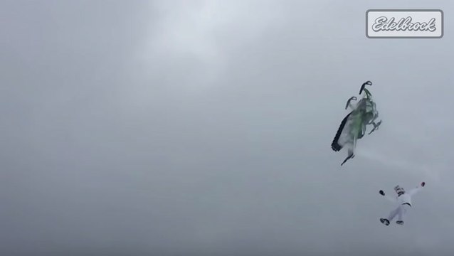 What’s Trending On PowerNationTV.com - Stunts Gone Wrong, Frozen Car, And Offroad Mustang