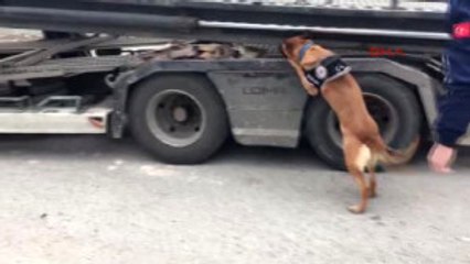 Eskişehir'de Özel Eğitimli Köpekle Uyuşturucu Operasyonu
