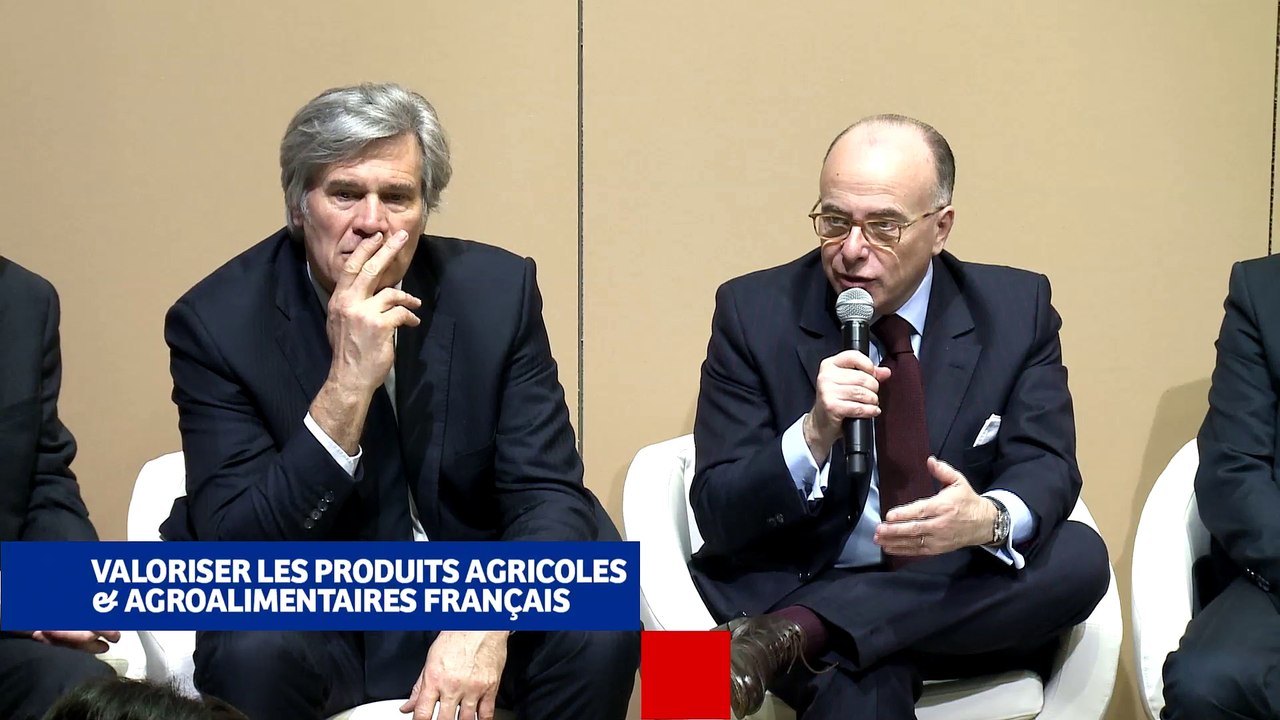 Discours du Premier ministre Bernard Cazeneuve