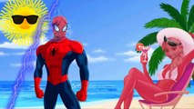 Hulk vs Frozen Elsa Spiderman Joker! Superhero Finger Family TV channel