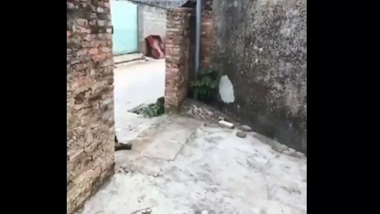 Hahaha, natawa talaga ako dito !  HAHAHA 