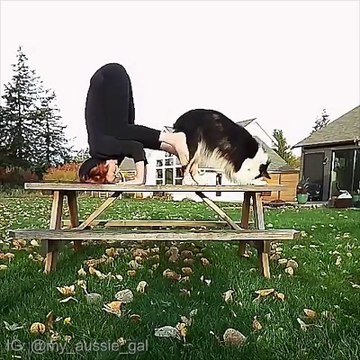 Elle fait ce qu'elle veut de son chien... Bien dressé l'animal