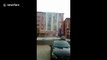 Large slabs of snow fall from building roof like a waterfall