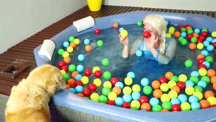 Frozen Elsa POOL PARTY WITH A DOG! w/ Spiderman, Joker Girl, Joker - Real Life Superheroes