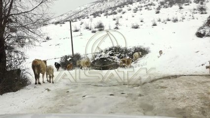 Shumë zona malore mbeten të izoluara nga bora