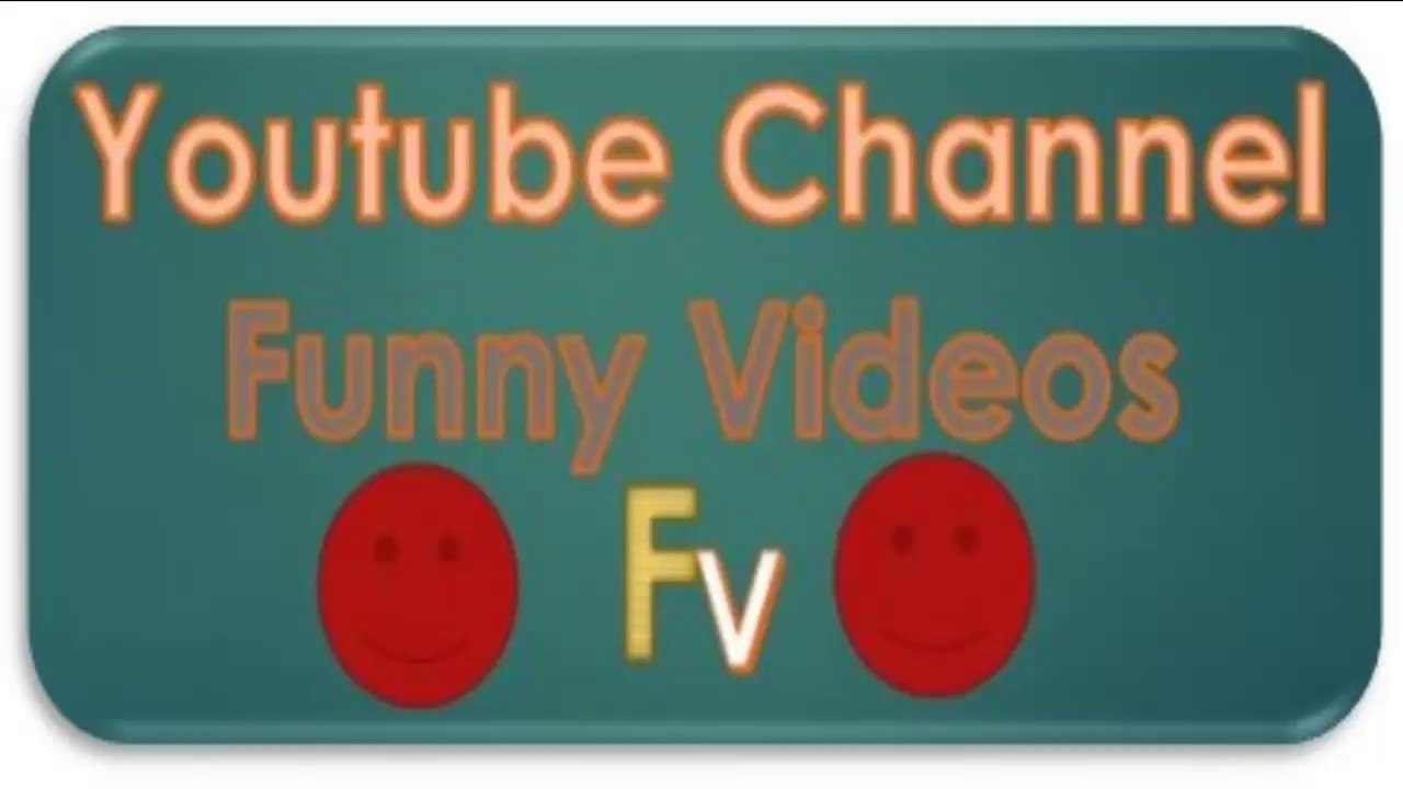 funny videos