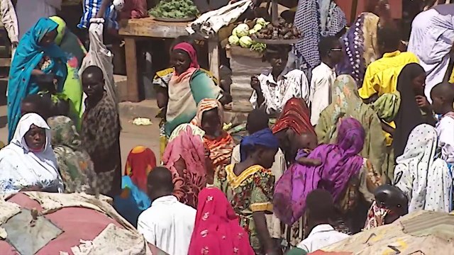 Caminos en guerra - ¡Ahora en alta calidad! (Documental completo)