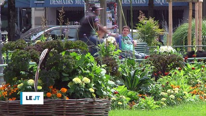 Le JT - 27 FEVRIER 2017