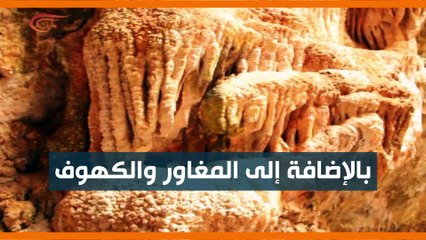 ماذا ولماذا؟: هل سيختفي اللون الأخضر من لبنان ...