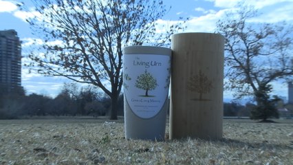 Here's another way to bury your pet — grow it into a tree