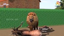 Animals 3D Finger Family Rhymes || Dinosaur Bear Lion Tiger Gorilla Rhymes For Toddlers