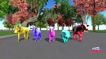 Animales salvajes de animación 3d Rimas Dedo de la familia de los Colores de los dinosaurios Dedo de la familia rimas para