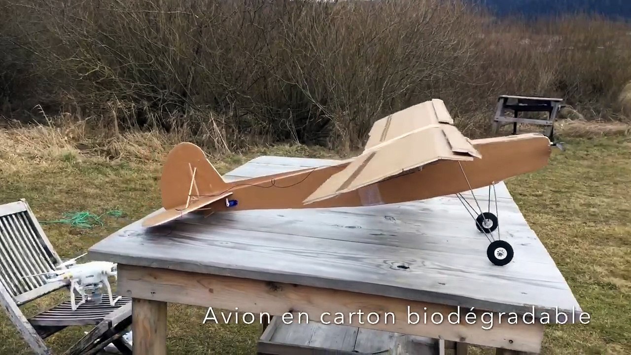 Avion en carton