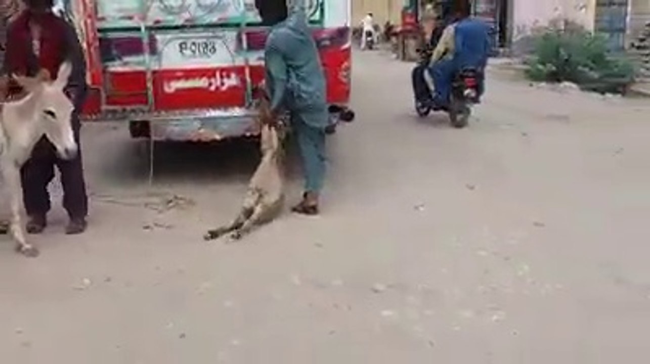 It Will Only Happend in Pakistan