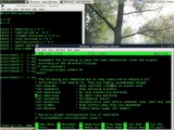 Tutorial: Configuracion Basica de vim Para Programacion Linux Terminal