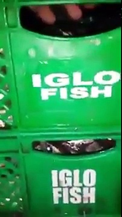 مصيبة الدود وسط علب السردين حضيو راسكم أش تتاكلو