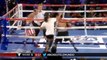 Un spectateur met un coup de poing à un boxeur en plein combat.