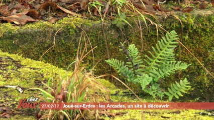 Chez vous à Joué-sur-Erdre #1