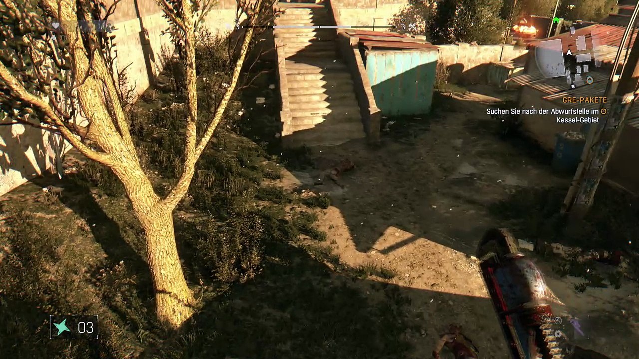 Dying light_20170227191955