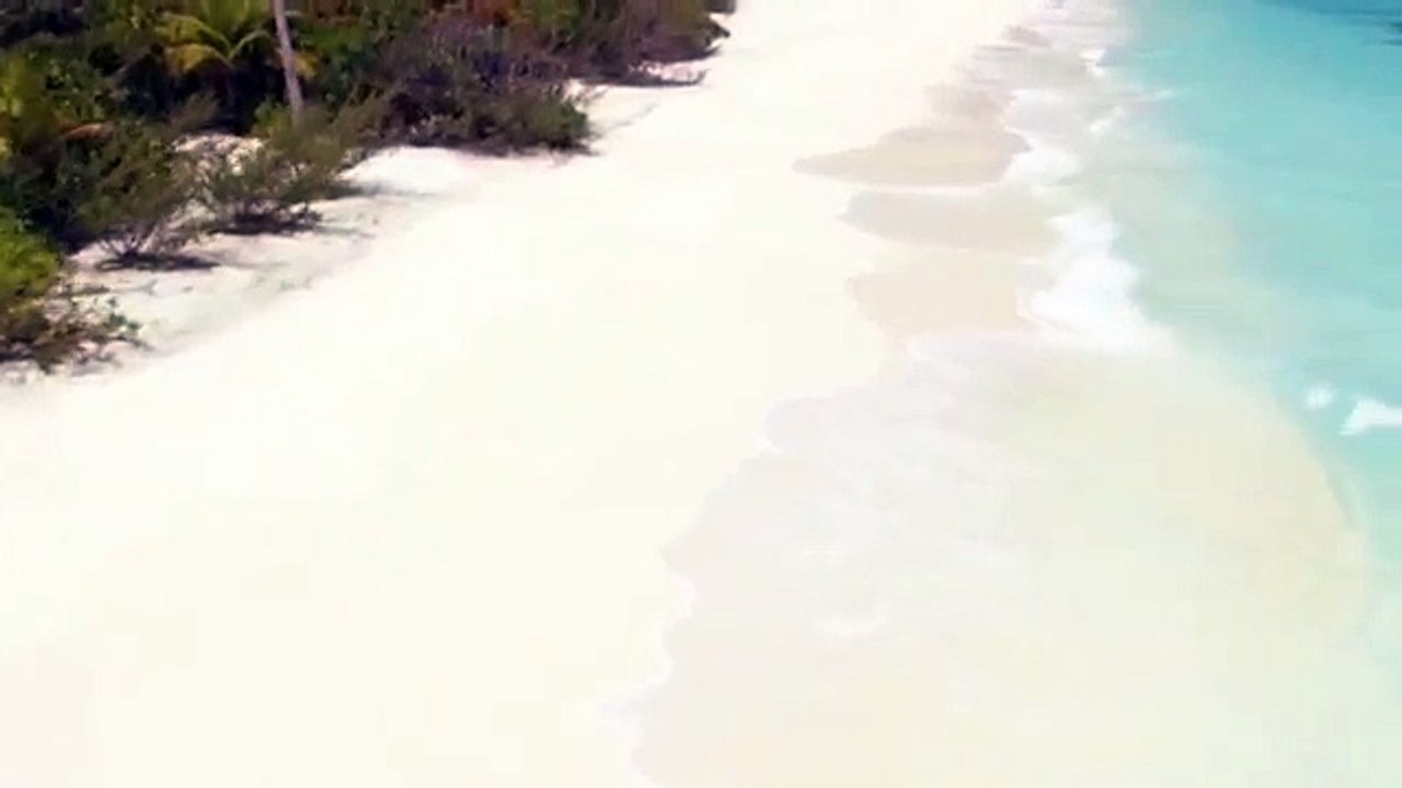 Tampa Limousine Limo Service In Tampa Patriot Limousine