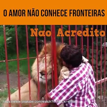 Дружба людей и животных