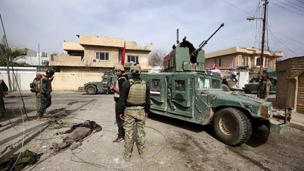 Las fuerzas iraquíes controlan un puente clave en Mosul