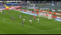Andrea Belotti Goal HD - Fiorentina 2-2 Torino - 27.02.2017