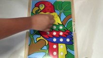 Lets Learn COLORS! Red, Yellow, Green, Blue - Color the Parrot Early Learning Videos for Children