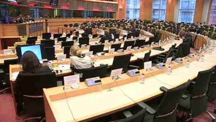 Servicio Europeo de Acción Exterior pide a Venezuela respetar la Constitución