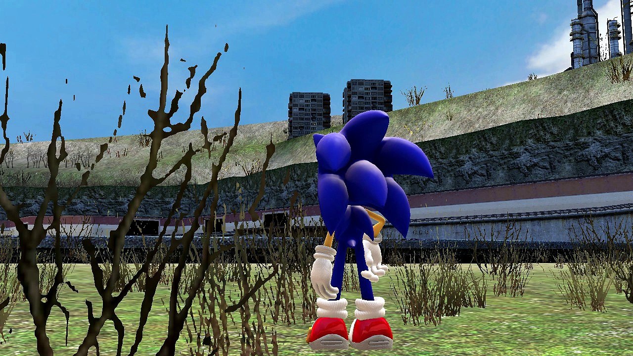 Sonic Meets SonicKnuckles1998