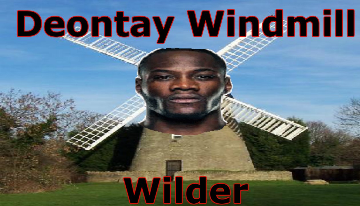 WINDMILL WILDER