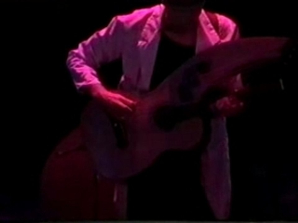 Michael Hedges - Comfortably Numb