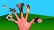 Давайте узнаем Finger семья песня животных, палец семейные животные, дети весело обучения видео