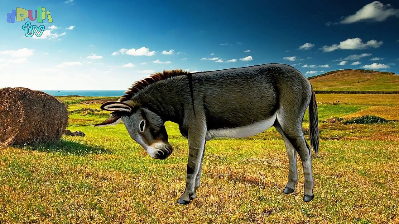 Изучение дикие животные имена и звуки для детей | реальные и мультяшные животные