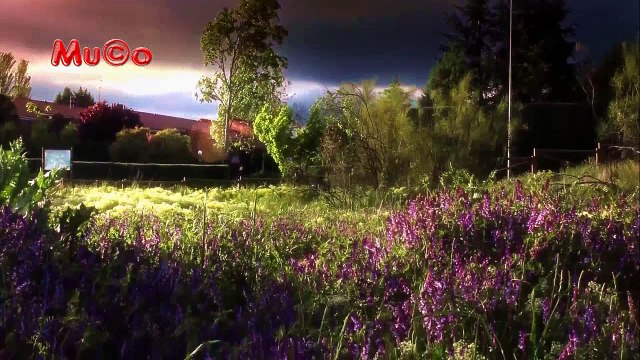 Derya Köroğlu - Pelorus Jack'in Islığı (Enstrümantal Müzikler) Mu©o