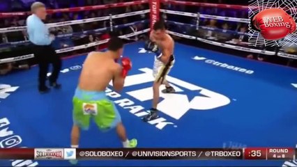 Boxing Brutal Knock Outs January 2017-5gwExGAmLMI