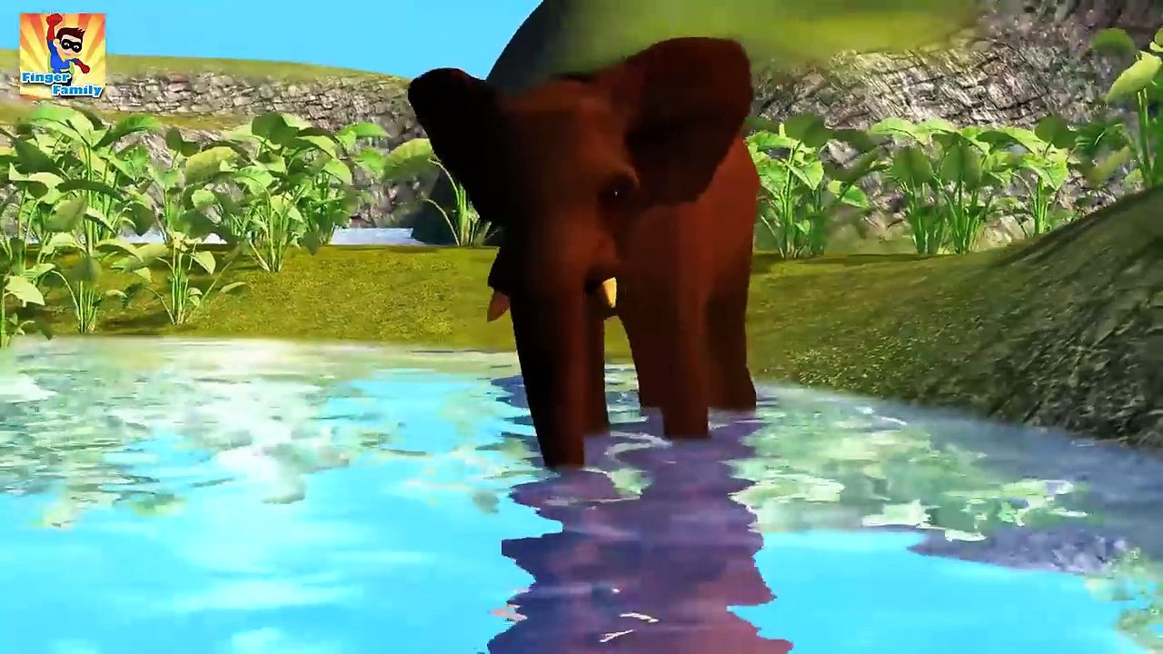 Non-Stop Finger Family Rhymes collection for Children | Finger Family Nursery Rhymes