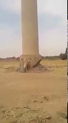 لحظة انهيار مدخنة عملاقة بطول 55 متر ًا في الوادي الجديد