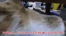 ネクストステージ中野の未来への動画No.13