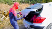 Человек-паук спас Человек-Паук против розовый Человек-паук Джокер похитил в автомобиле удовольствие супергерой