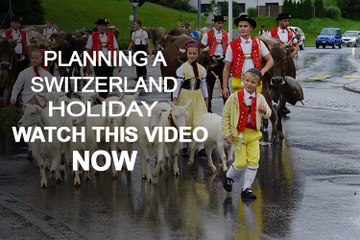 Planning A Switzerland Holiday - Watch This Now