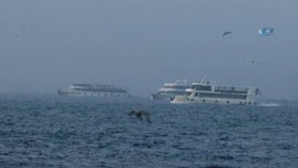 İstanbul'da Yoğun Sis Etkili Oldu