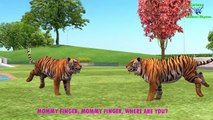Finger Family Tiger Nursery Rhymes | 3D Tiger Animation Song For Babies