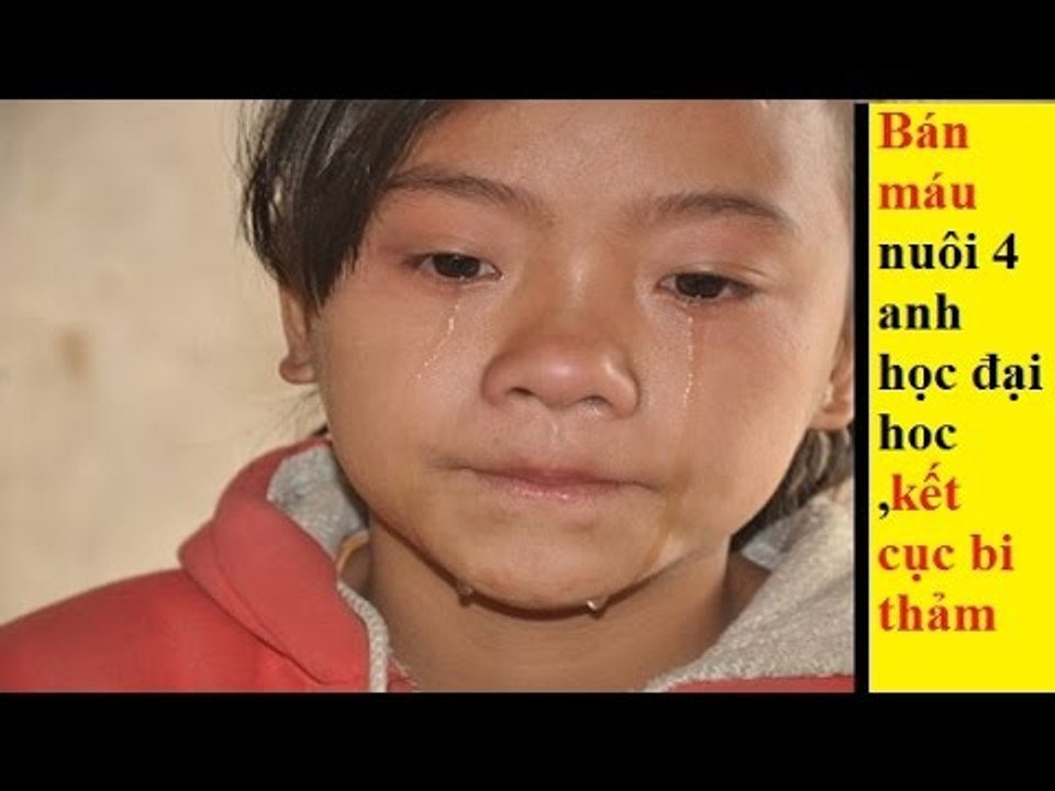 Cái kết bi thảm của cô bé 12 tuổi BÁN MÁU NUÔI BỐN NGƯỜI ANH HỌC ĐẠI HỌC